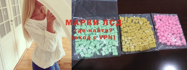 индика Абаза