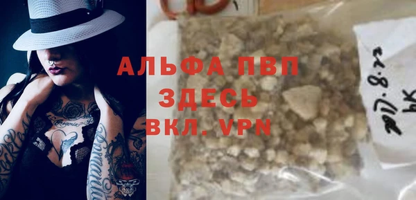 индика Абаза
