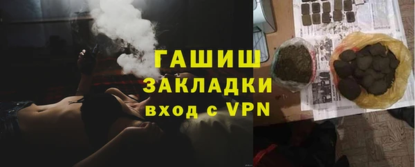 индика Абаза