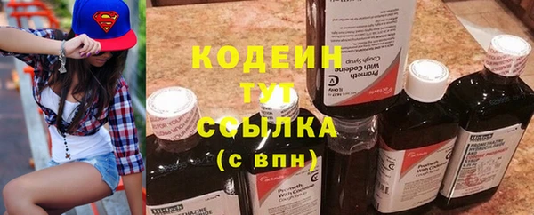 индика Абаза