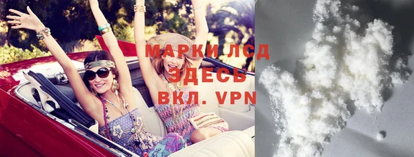 индика Абаза