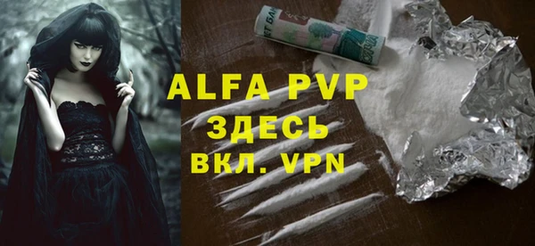 индика Абаза