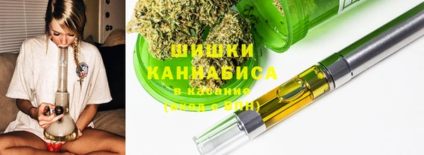 индика Абаза