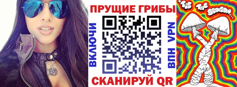 darknet наркотические препараты  MEGA рабочий сайт  Таштагол  Псилоцибиновые грибы Psilocybine cubensis 